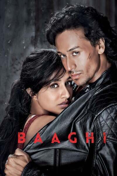 Baaghi Hindi Dubbed Movie Poster (2016)