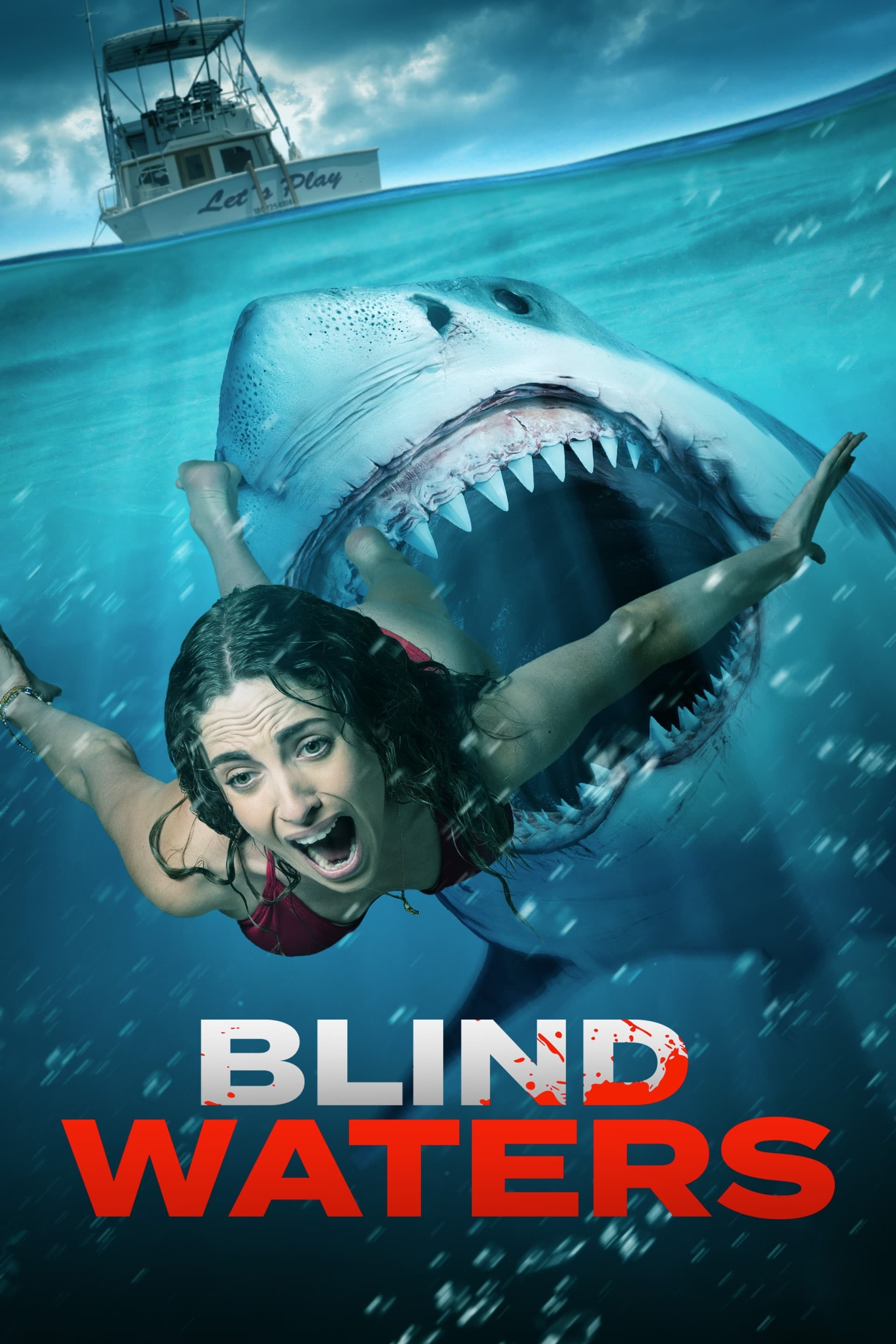 Blind Waters Hindi Dubbed Movie Poster (2023)