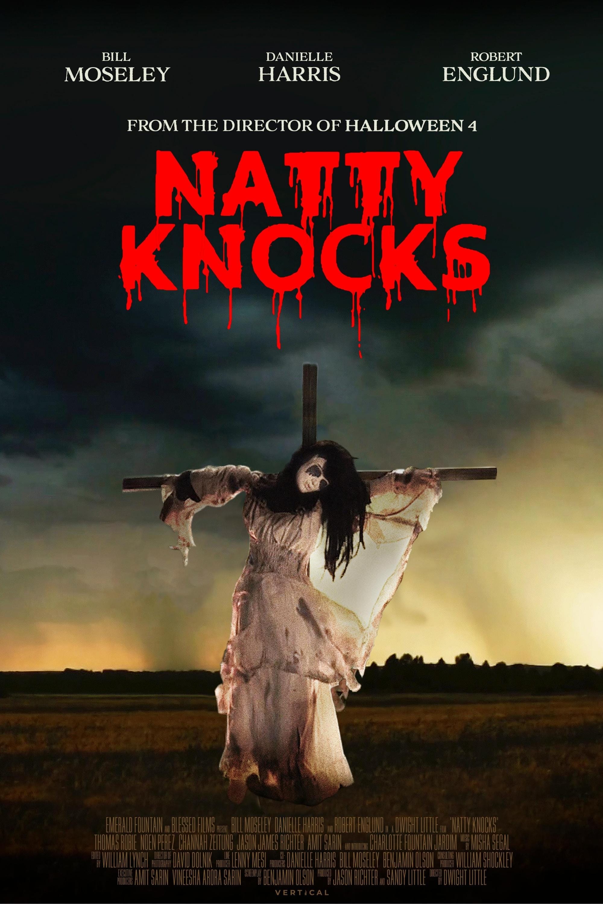 Natty Knocks Hindi Dubbed Movie Poster (2023)