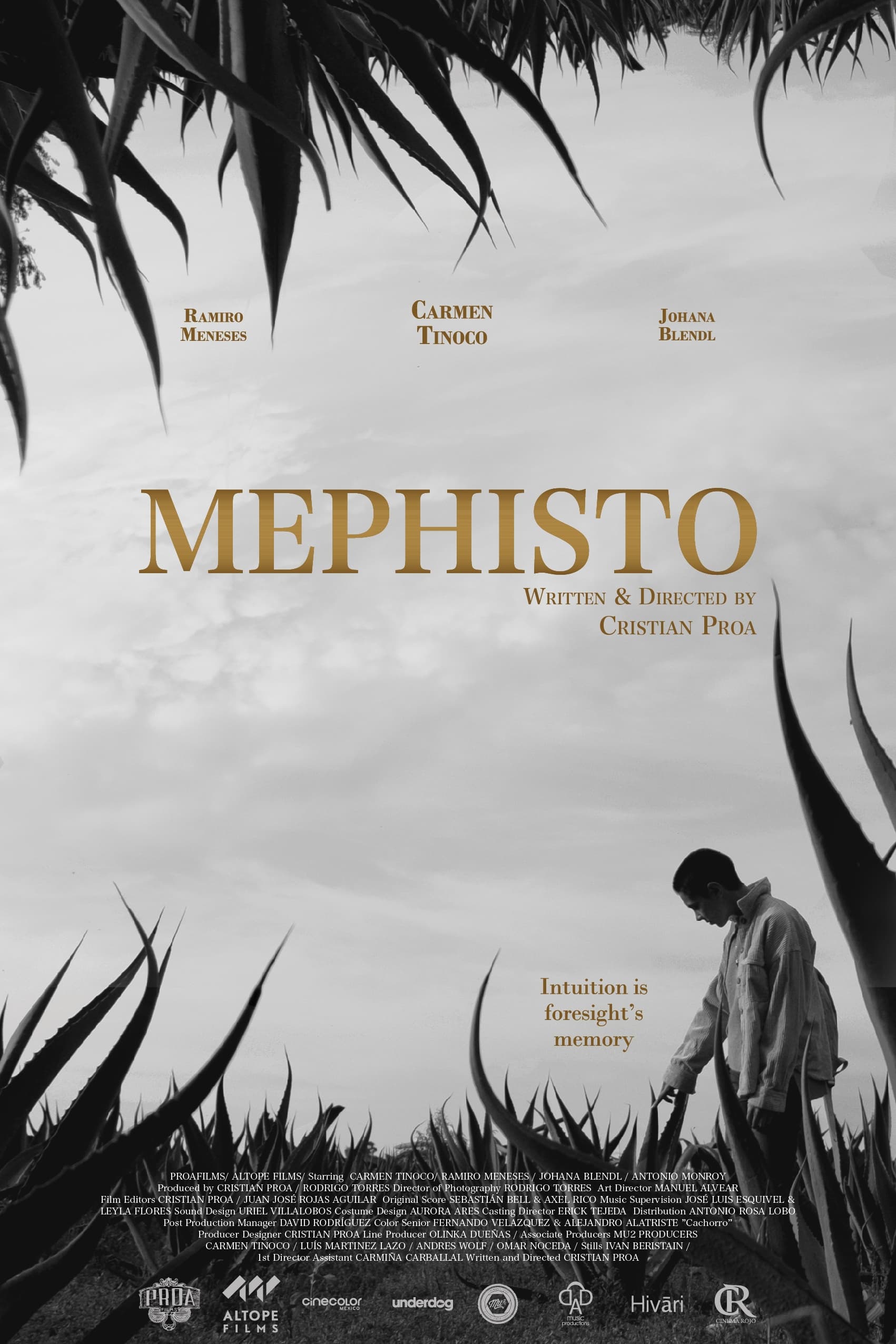 Mephisto Hindi Dubbed Movie Poster (2022)