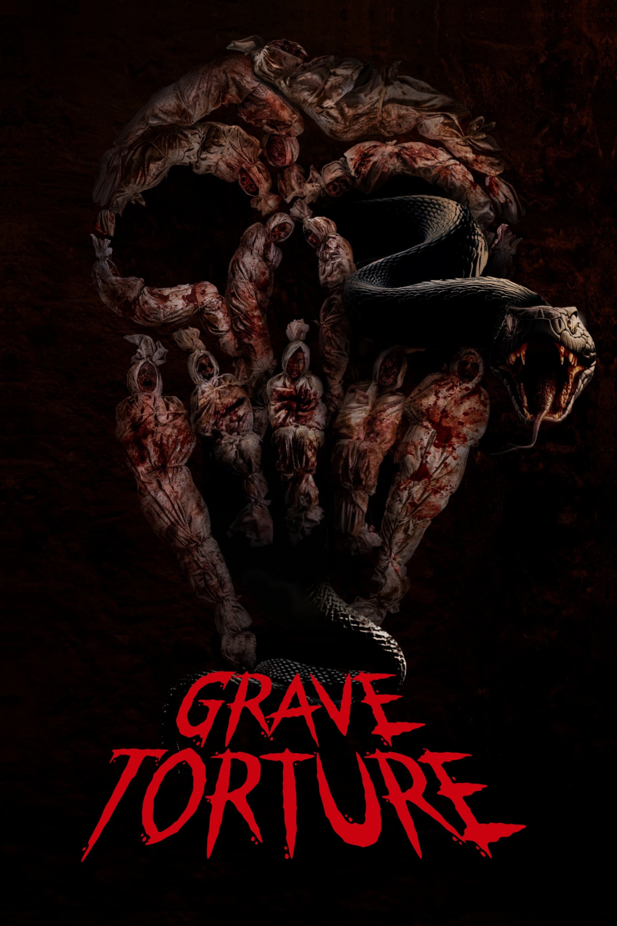 Grave Torture Hindi Dubbed Movie Poster (2024)