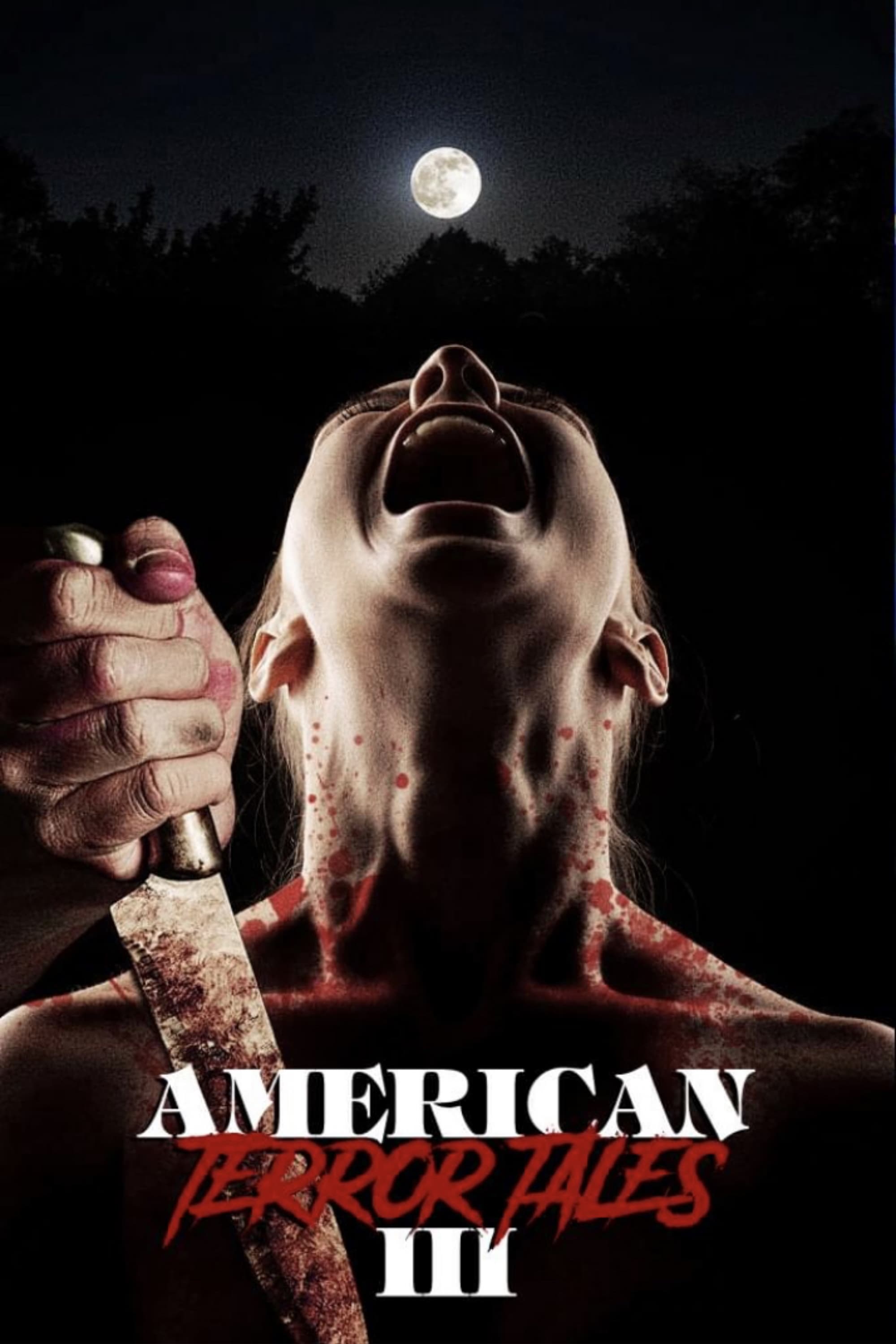 American Terror Tales 3 Hindi Dubbed Movie Poster (2024)
