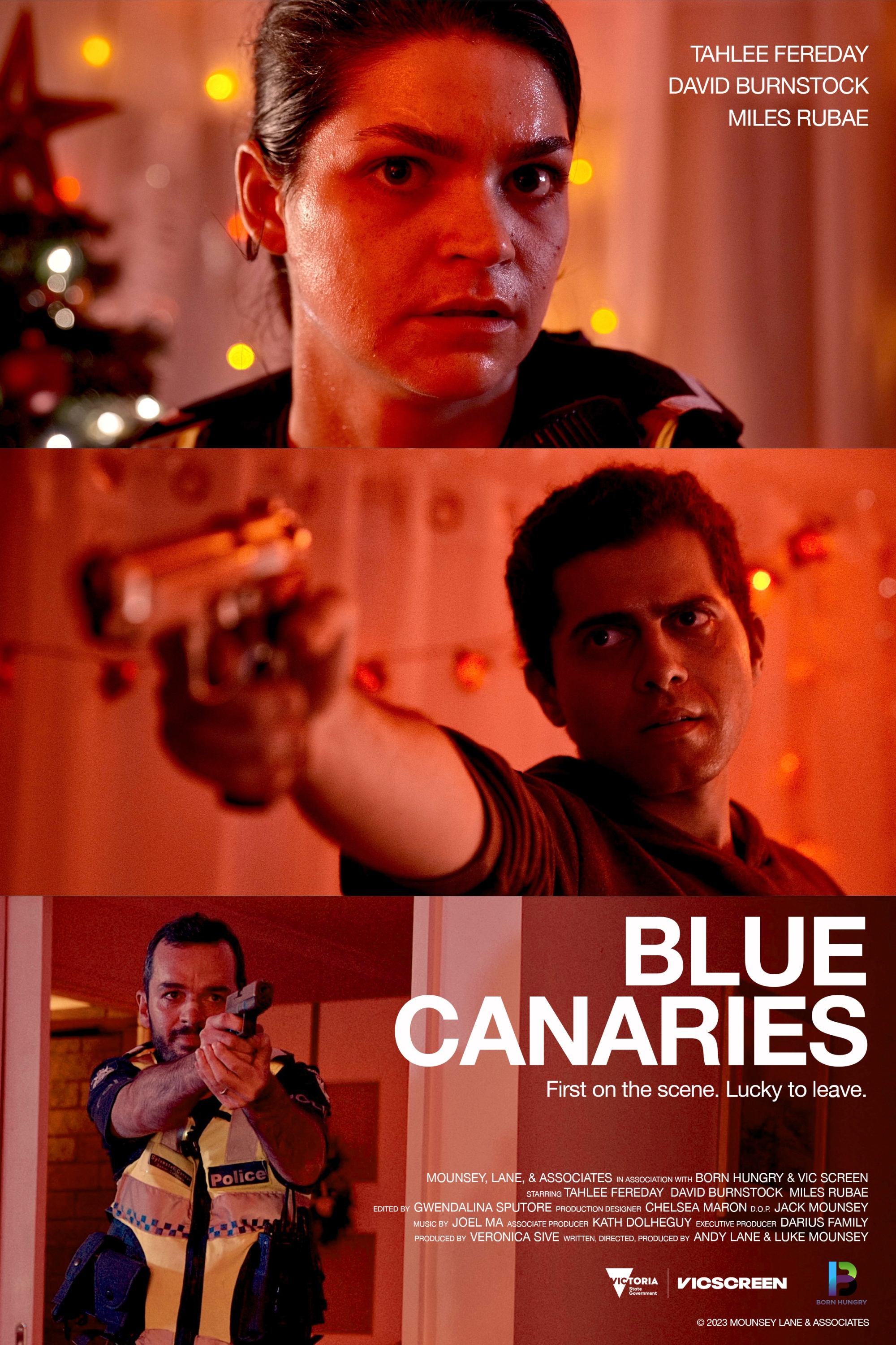 Blue Canaries Hindi Dubbed Movie Poster (2023)