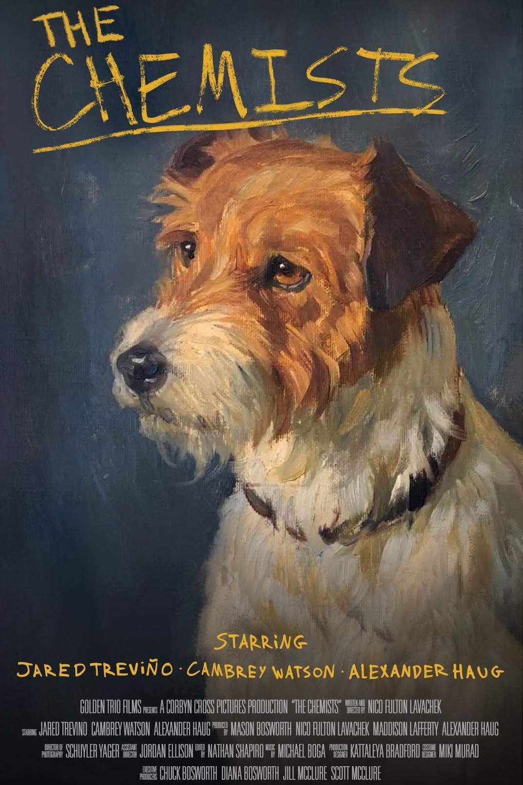 The Chemists Hindi Dubbed Movie Poster (2025)