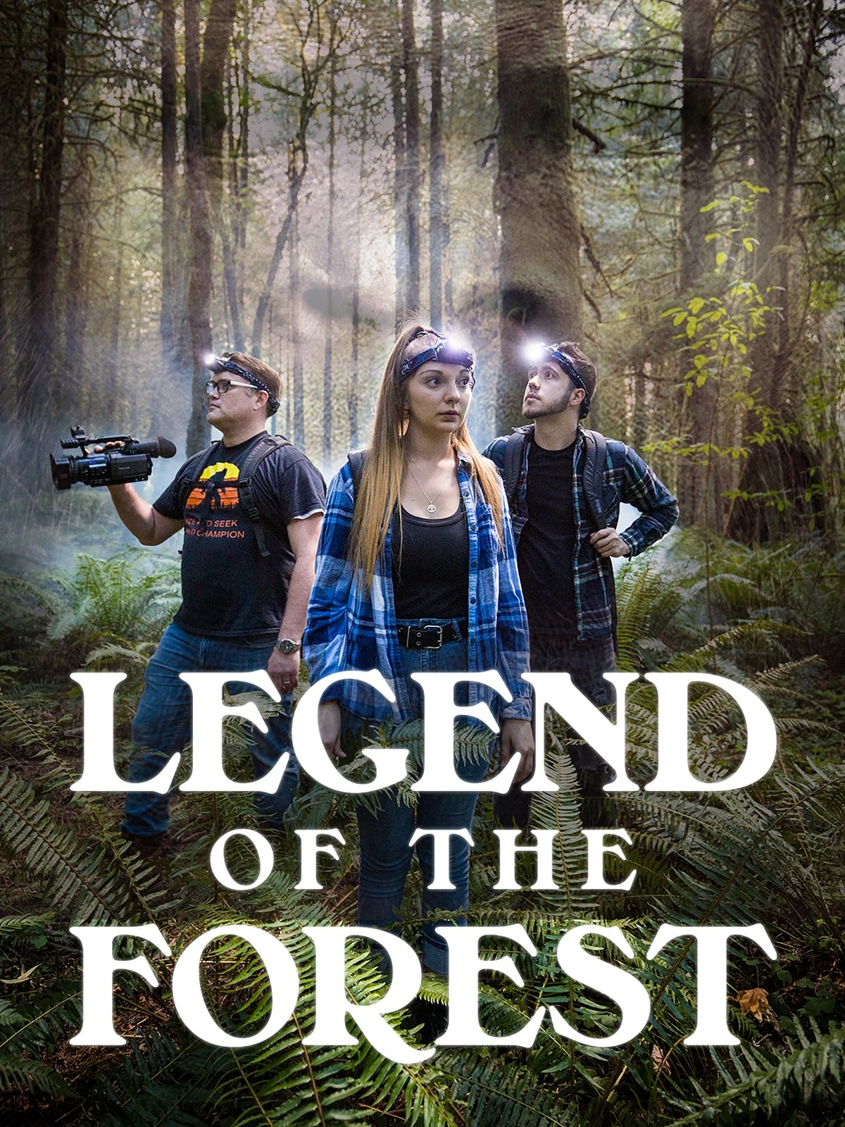 Legend of the Forest Hindi Dubbed Movie Poster (2025)