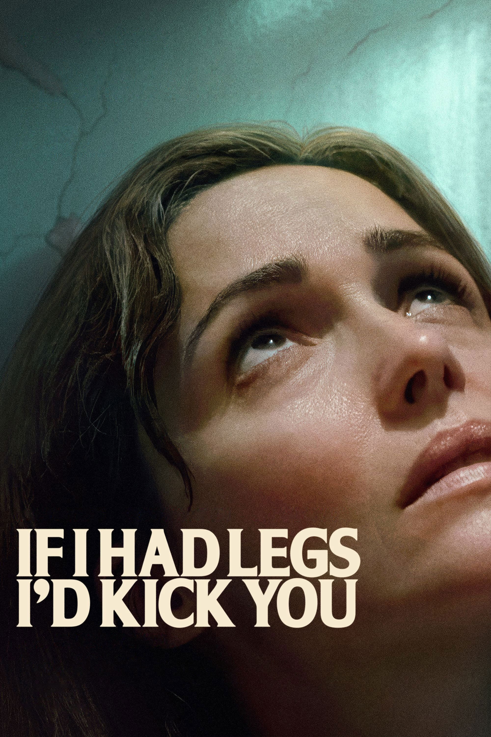 If I Had Legs I'd Kick You Hindi Dubbed Movie Poster (2025)